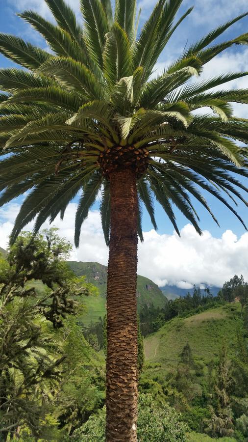 El Encanto Sorata Exteriér fotografie